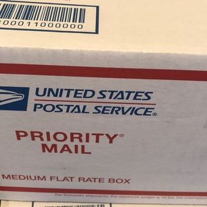 Little mermaid  mouse ears